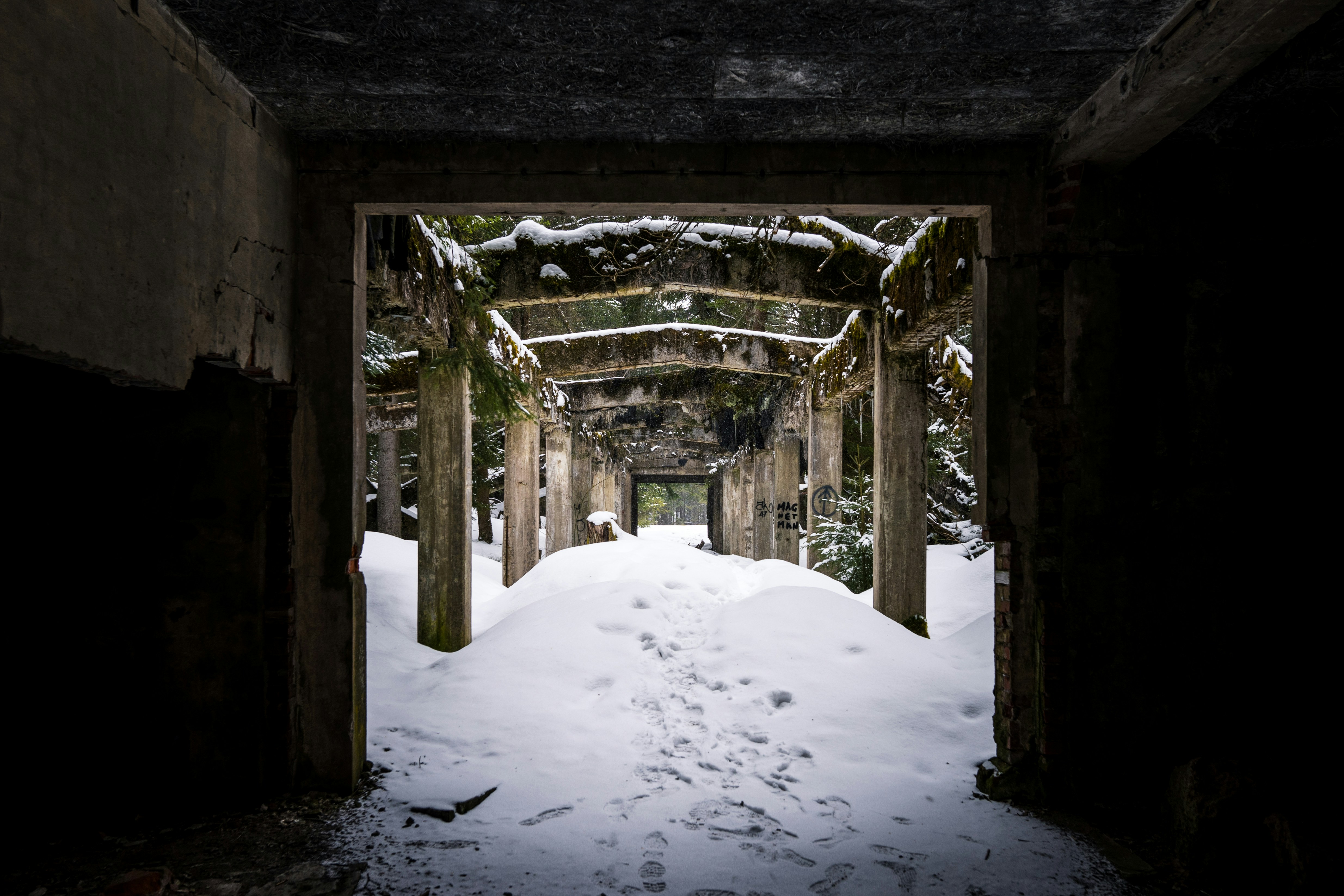 Photo by davidbenesph