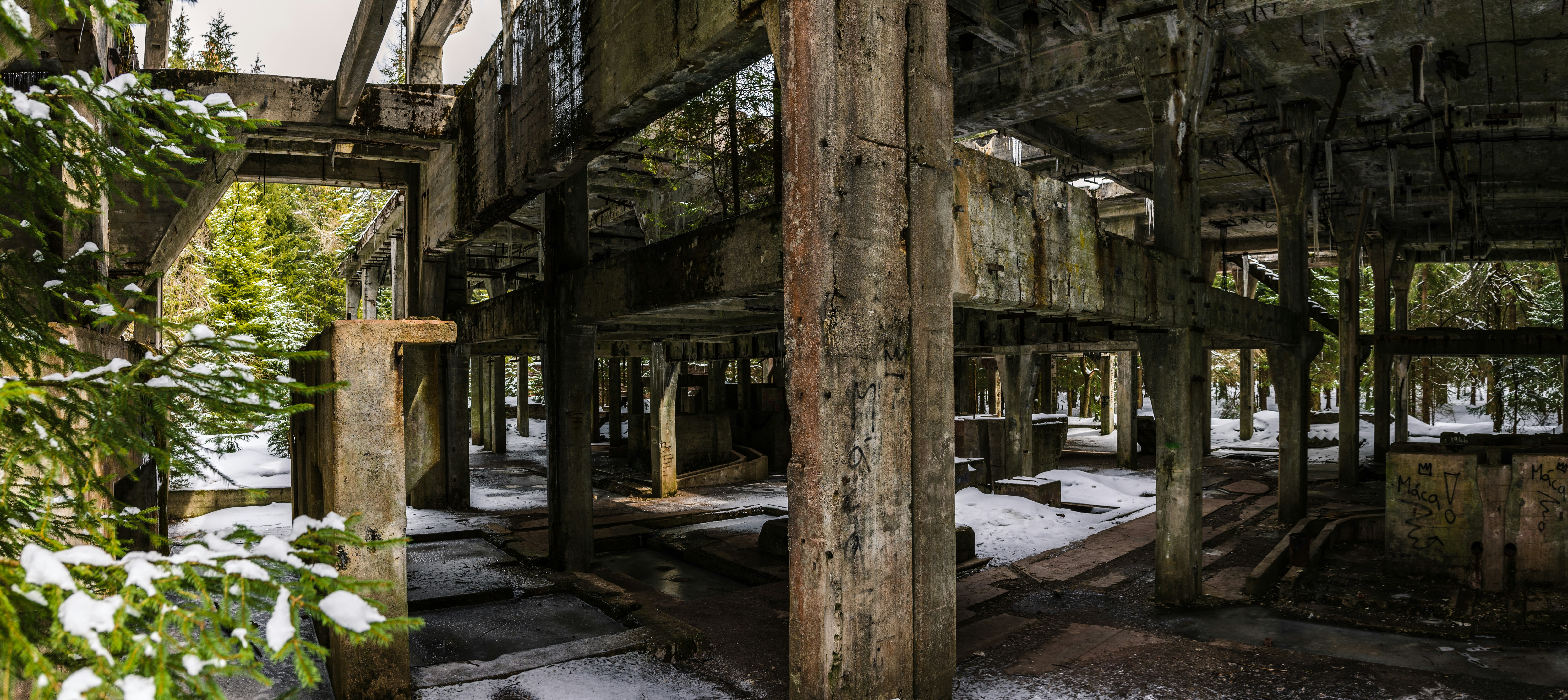 Photo by davidbenesph