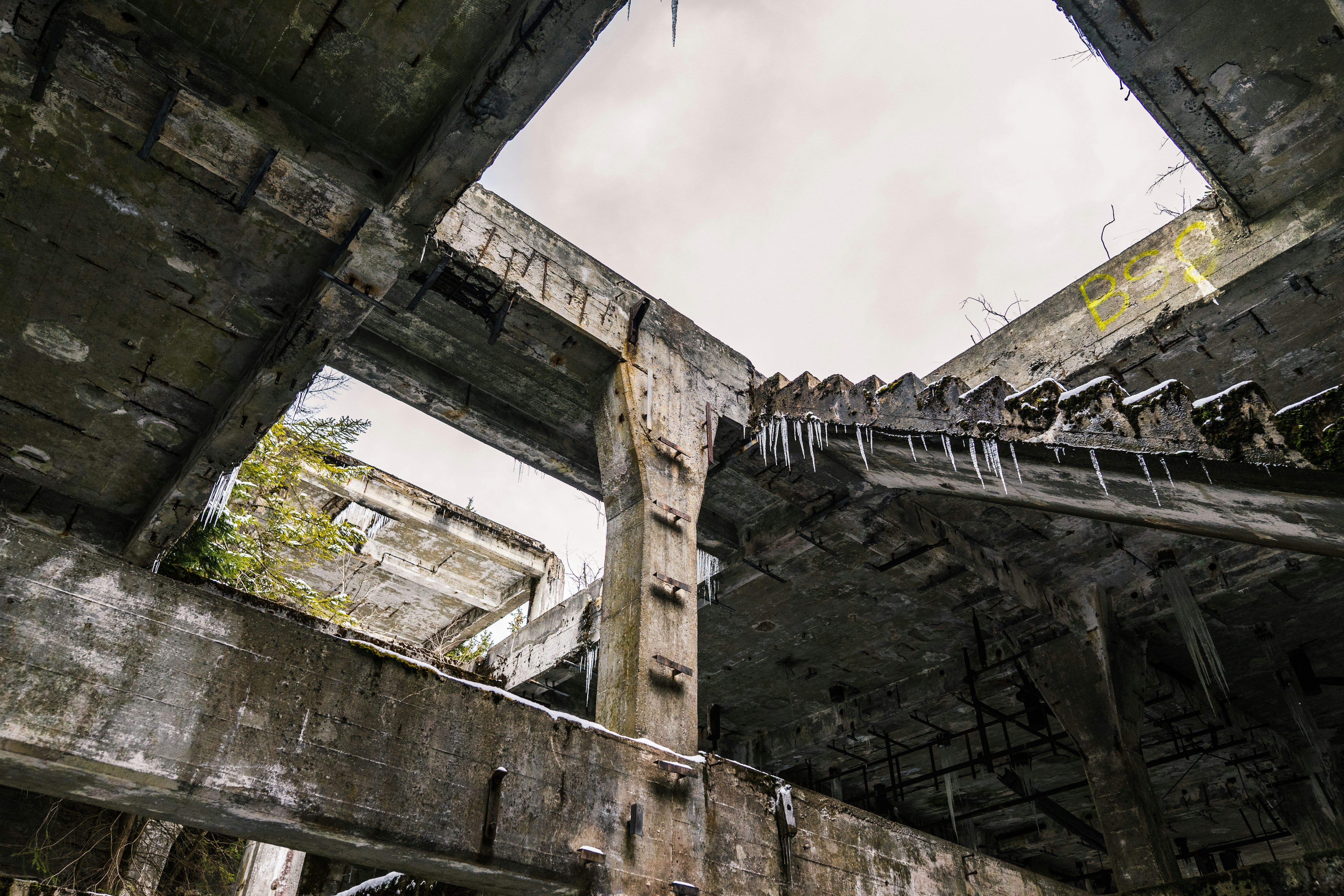 Photo by davidbenesph