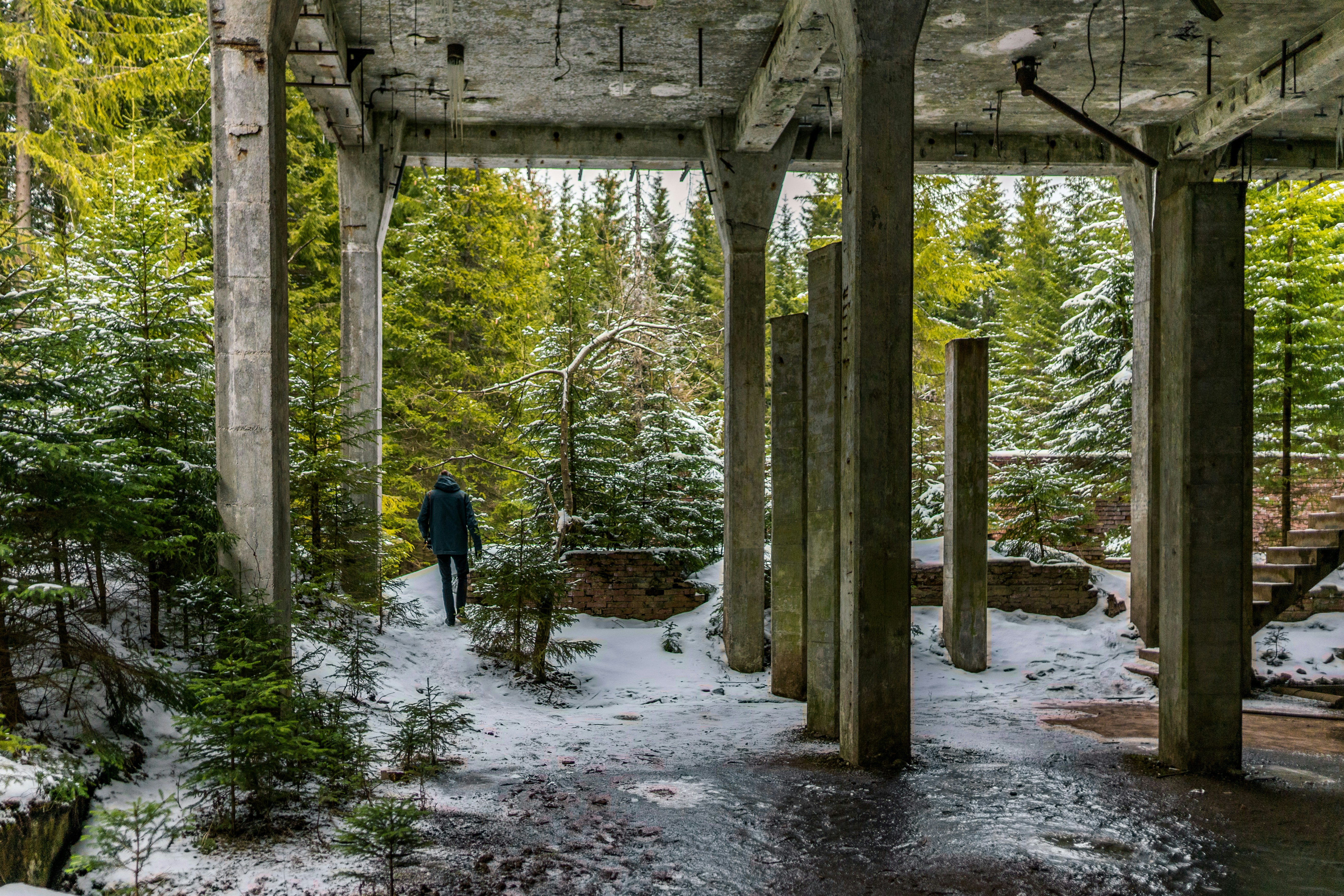 Photo by davidbenesph