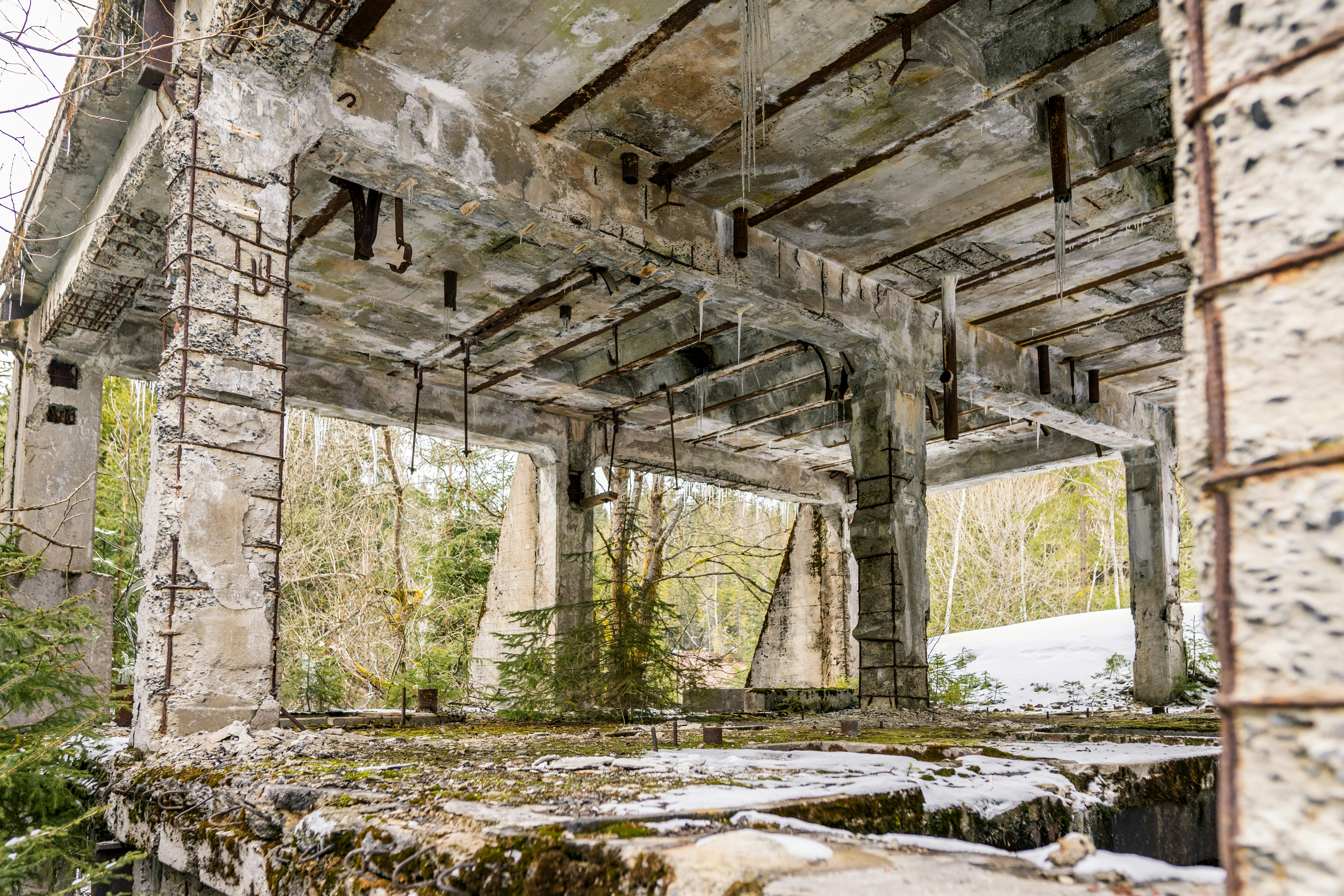 Photo by davidbenesph