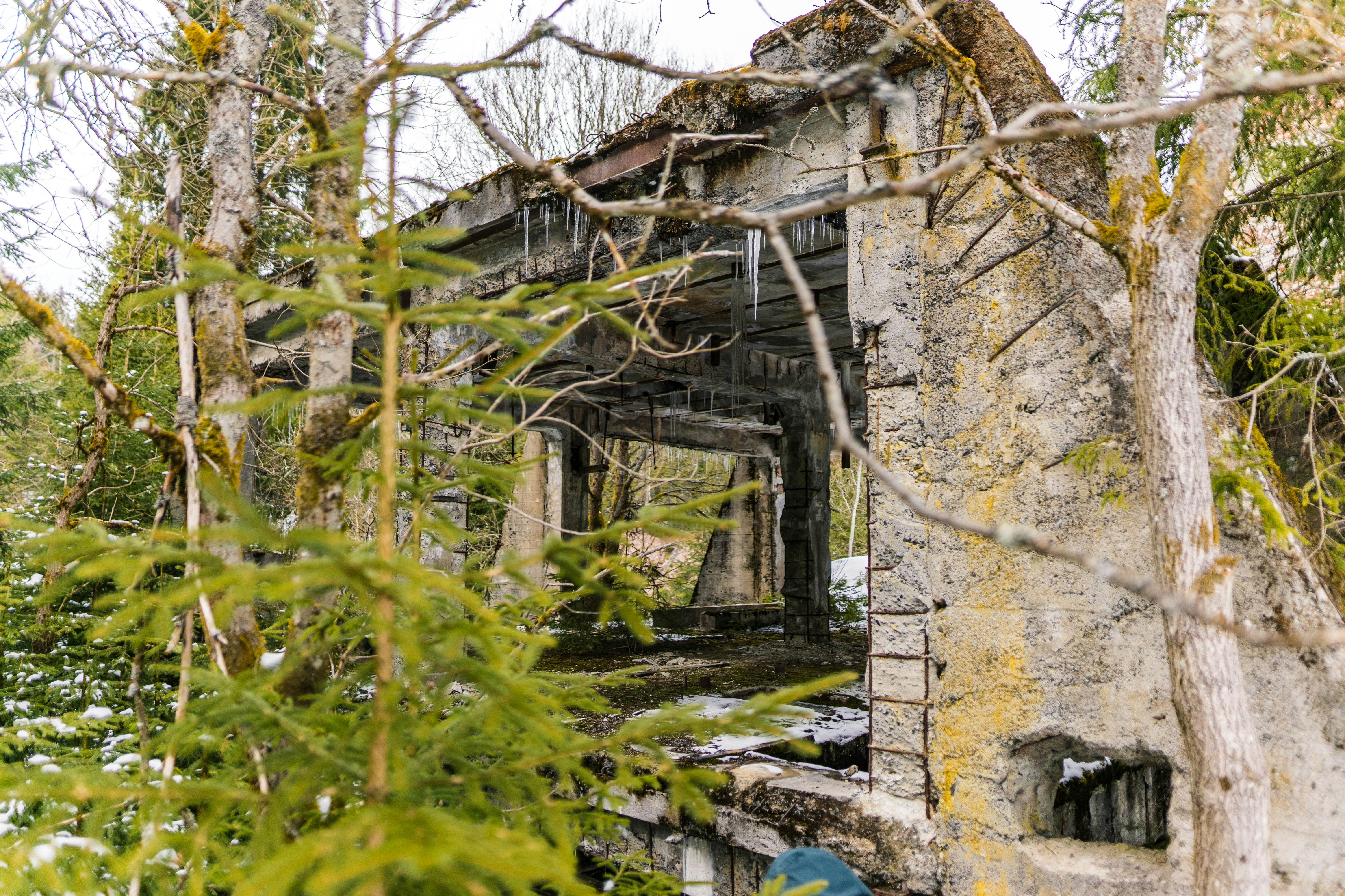 Photo by davidbenesph