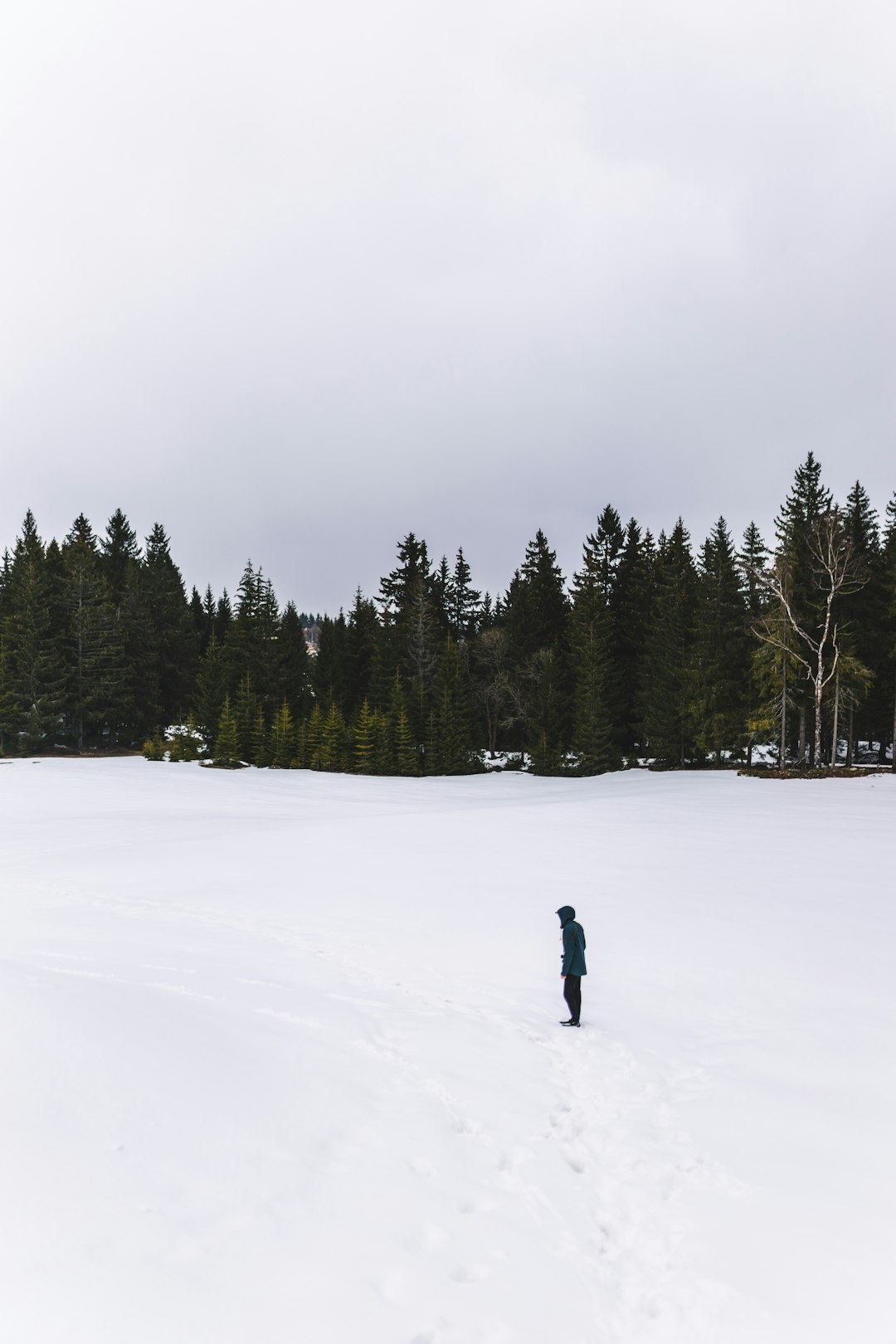 person in black jacket and pants walking on snow covered field during daytime