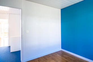 blue and white wooden door