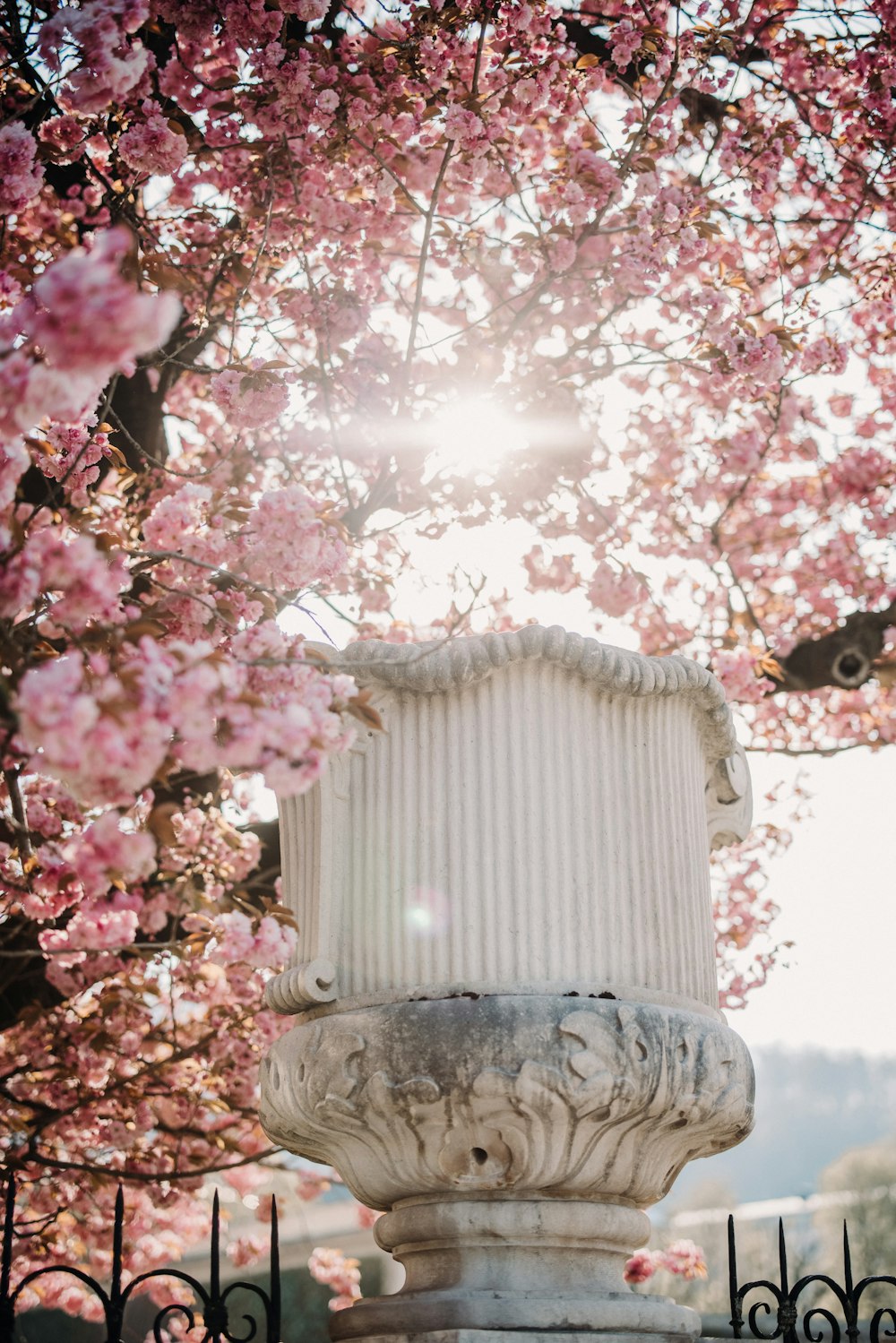 pink flowers on white ceramic vase