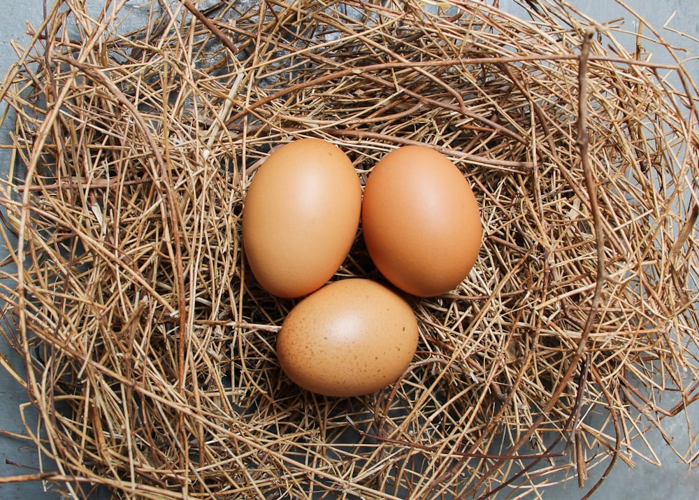 Braunes Ei auf braunem Nest