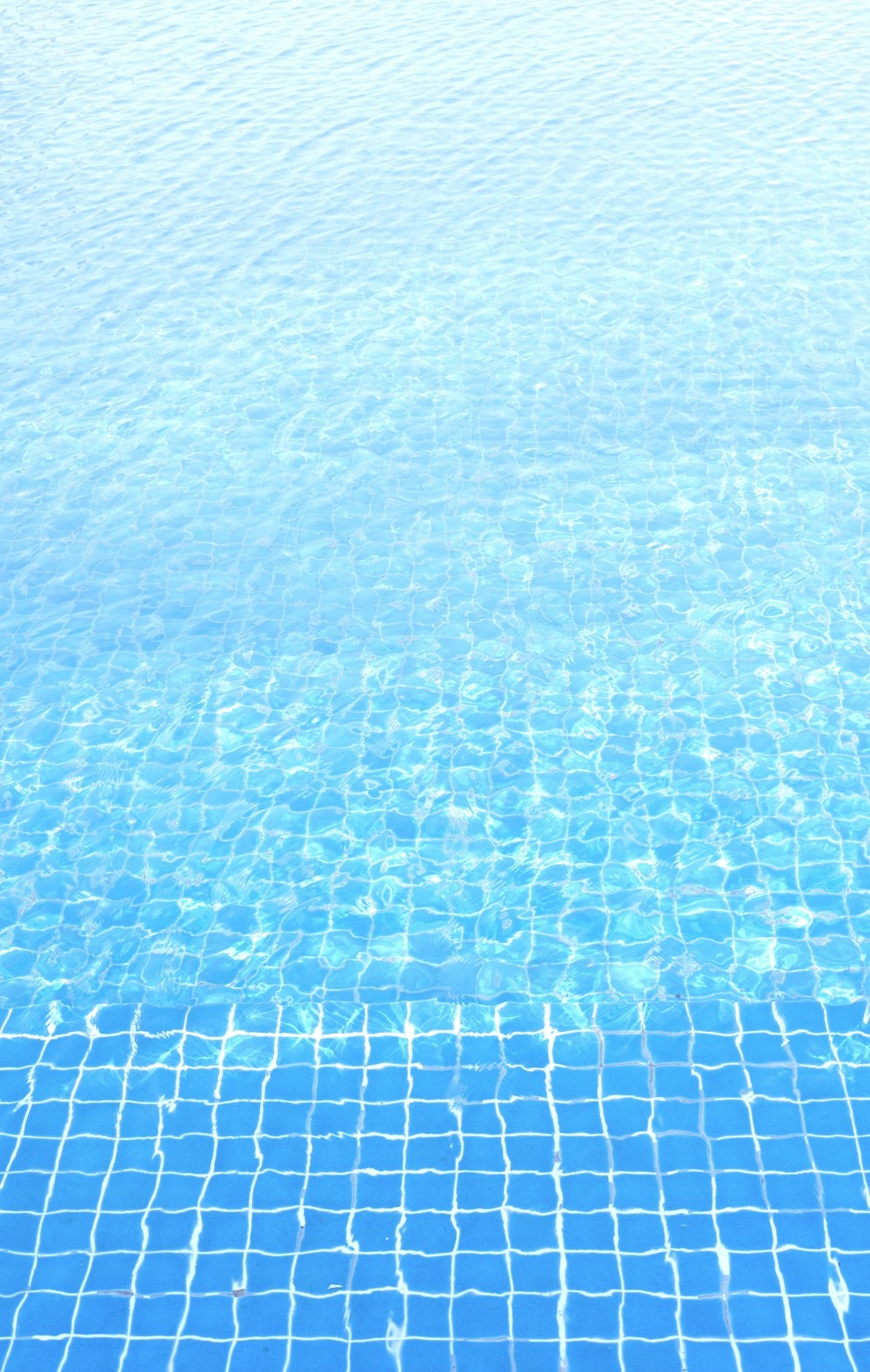 blue and white swimming pool