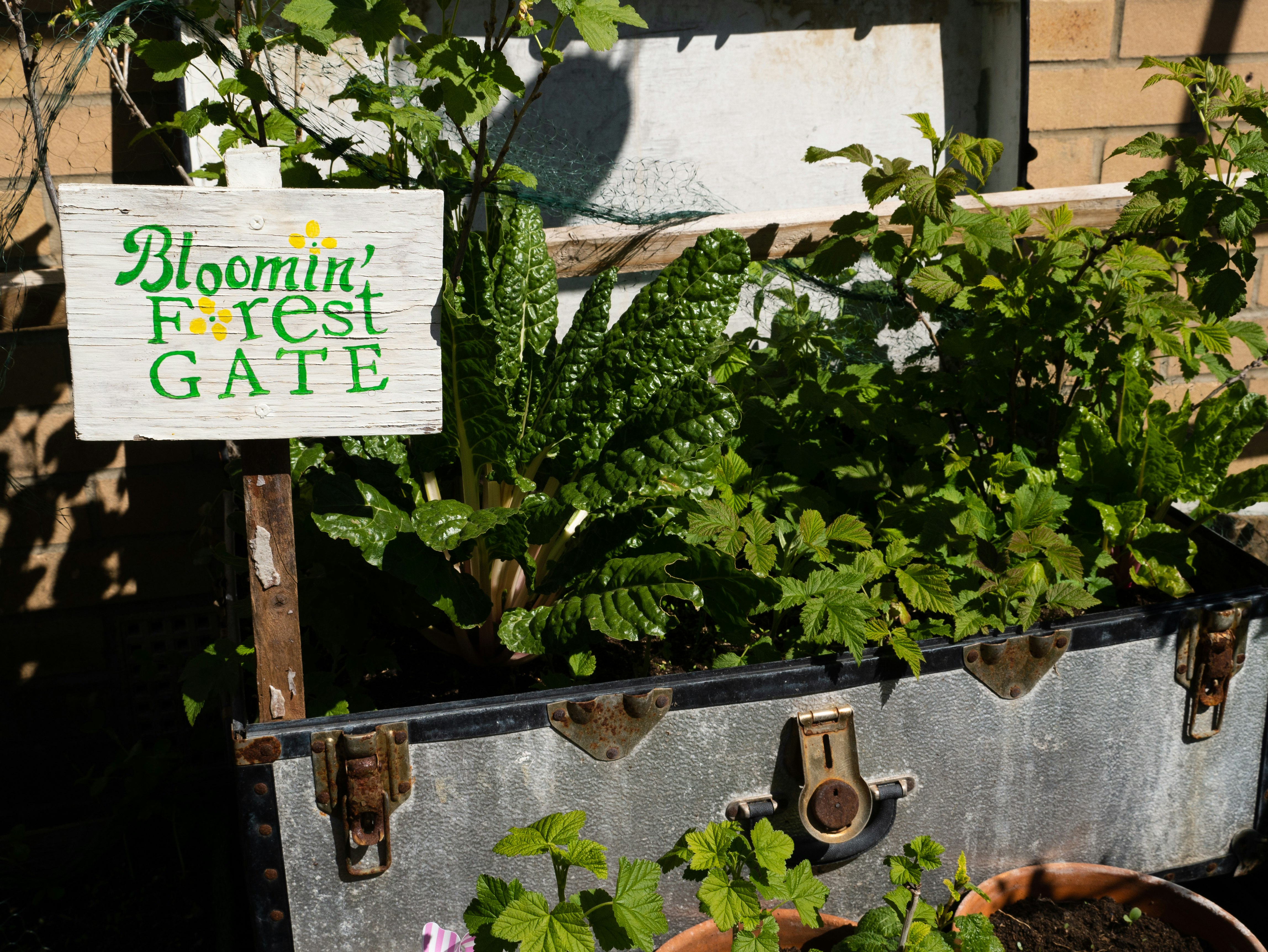 green and white wooden signage