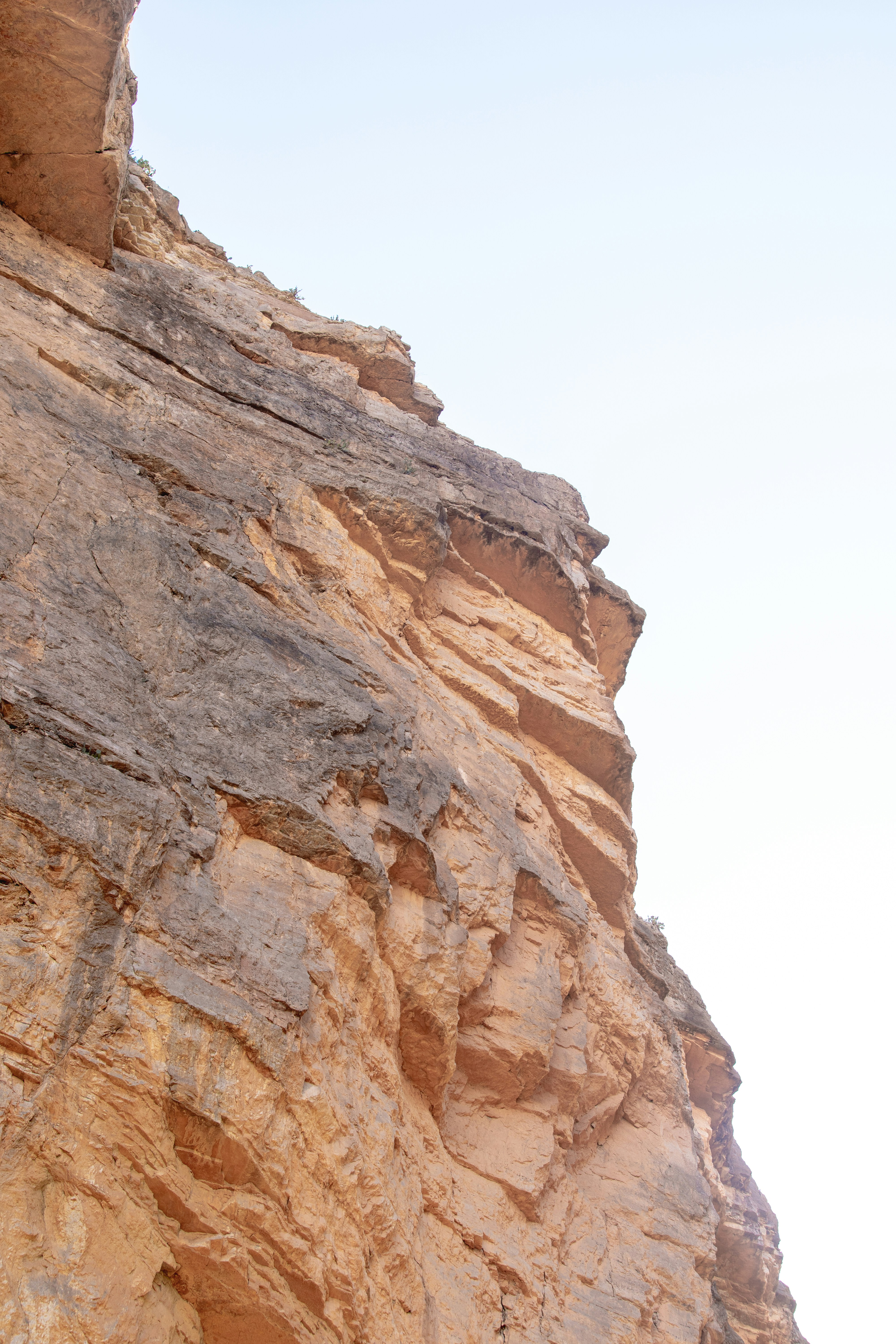 Photo by lucasbeckphotography