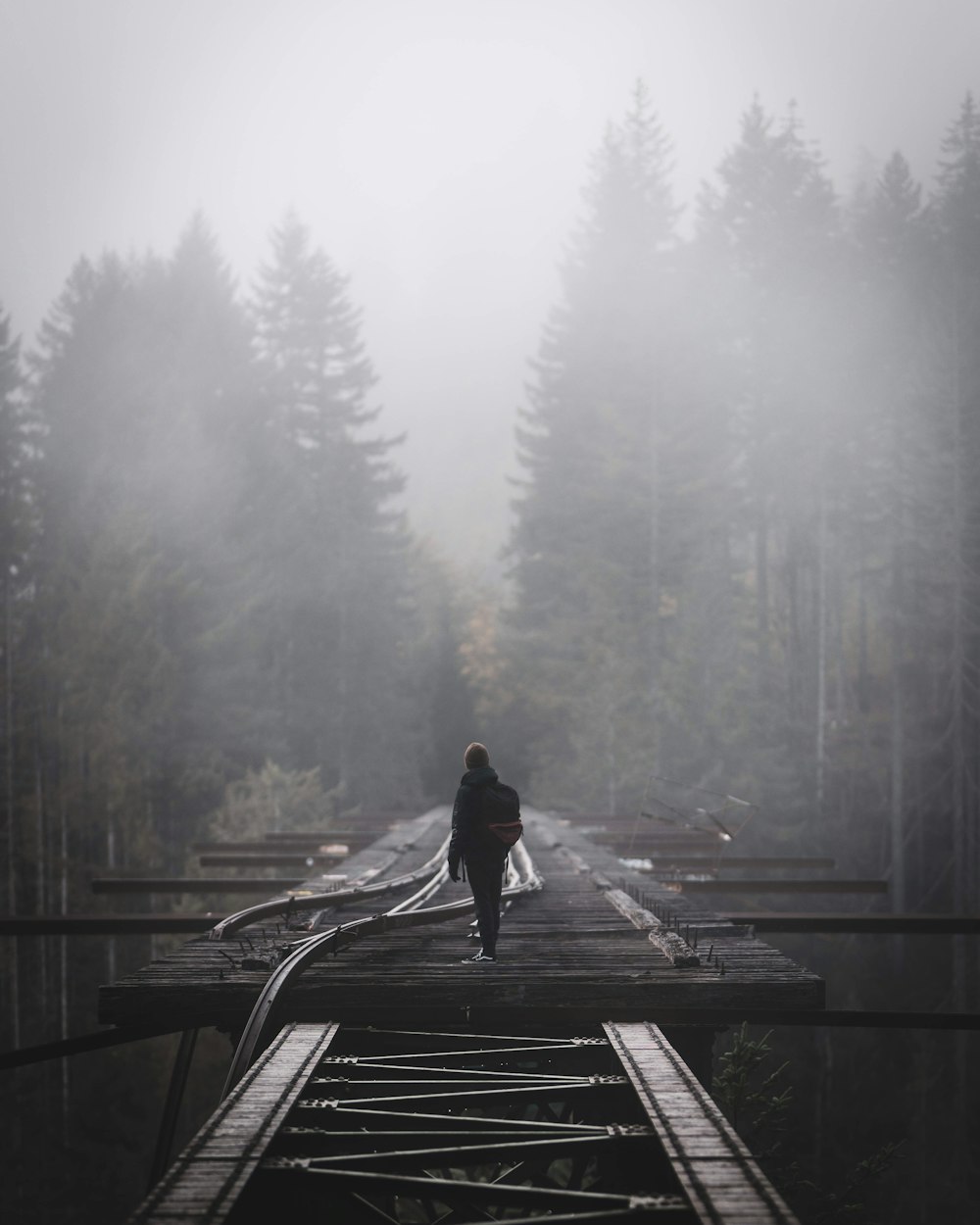 person walking on wooden bridge during foggy weather