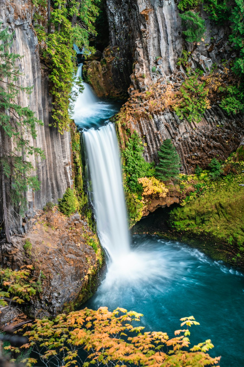 waterfalls between brown and green trees during daytime