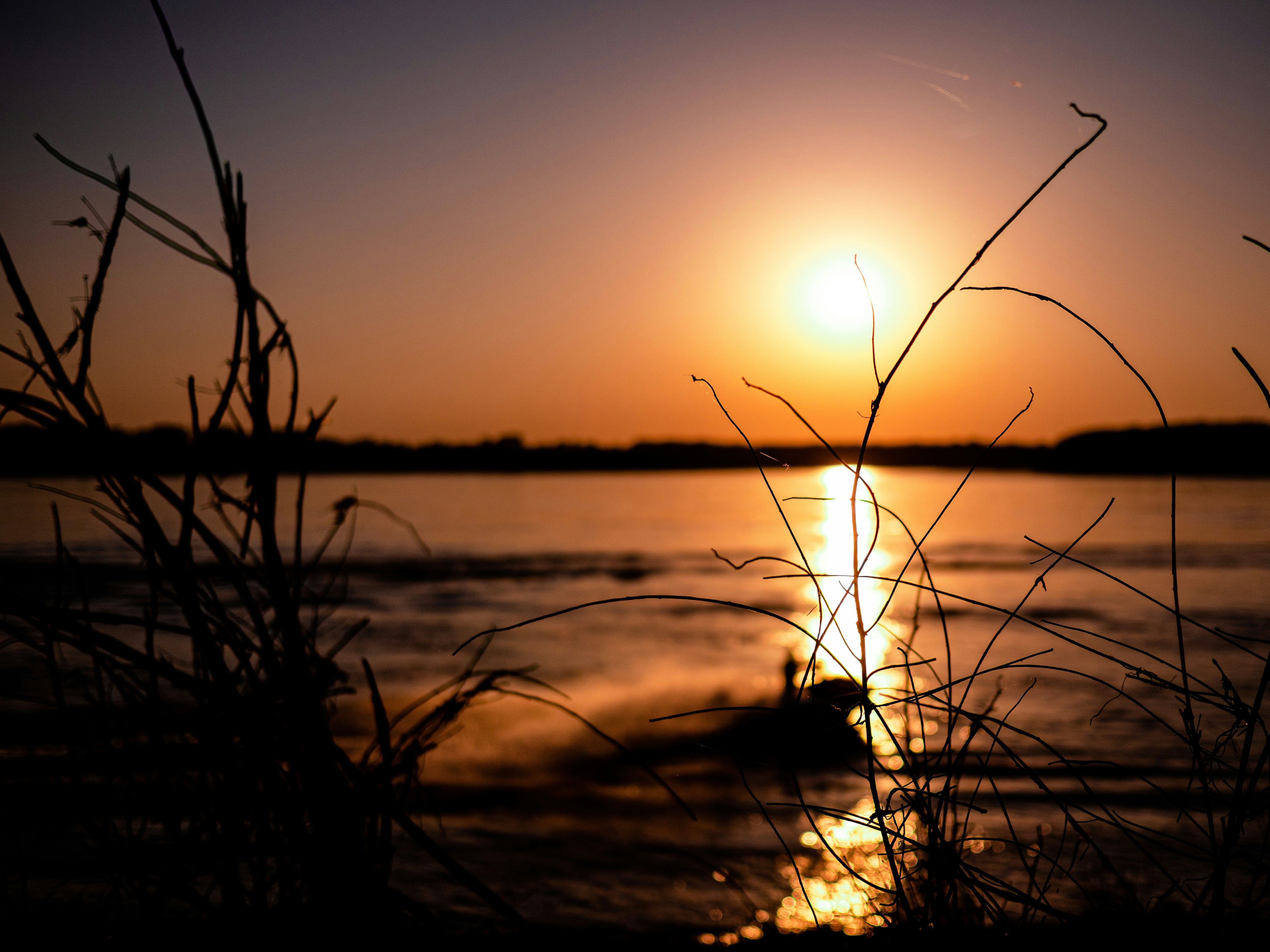 Photo by pedrotheartist