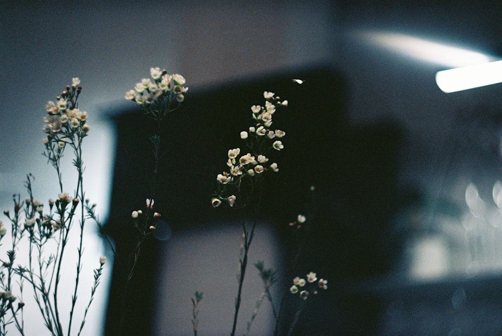 white flower on black textile