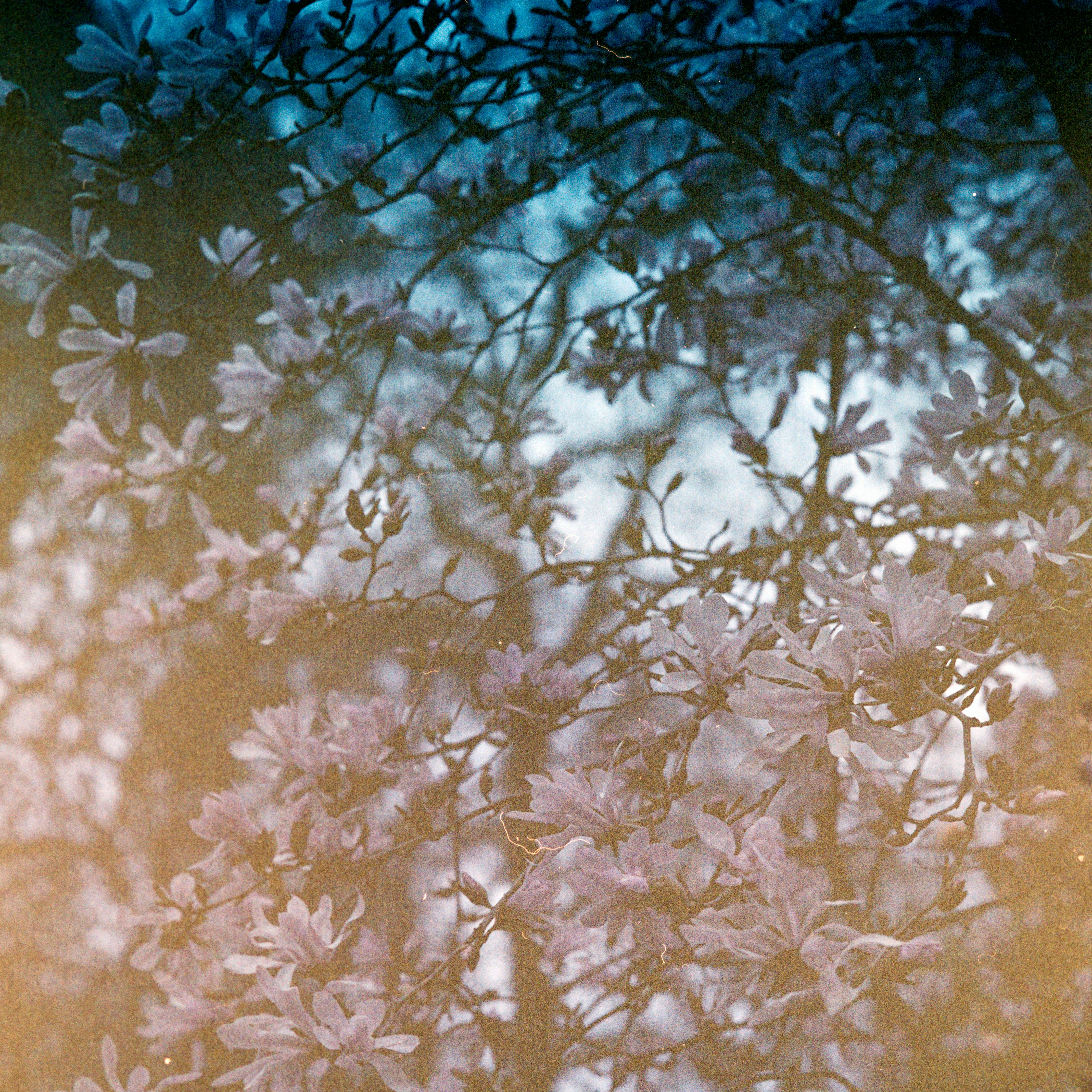 Photo by anniespratt