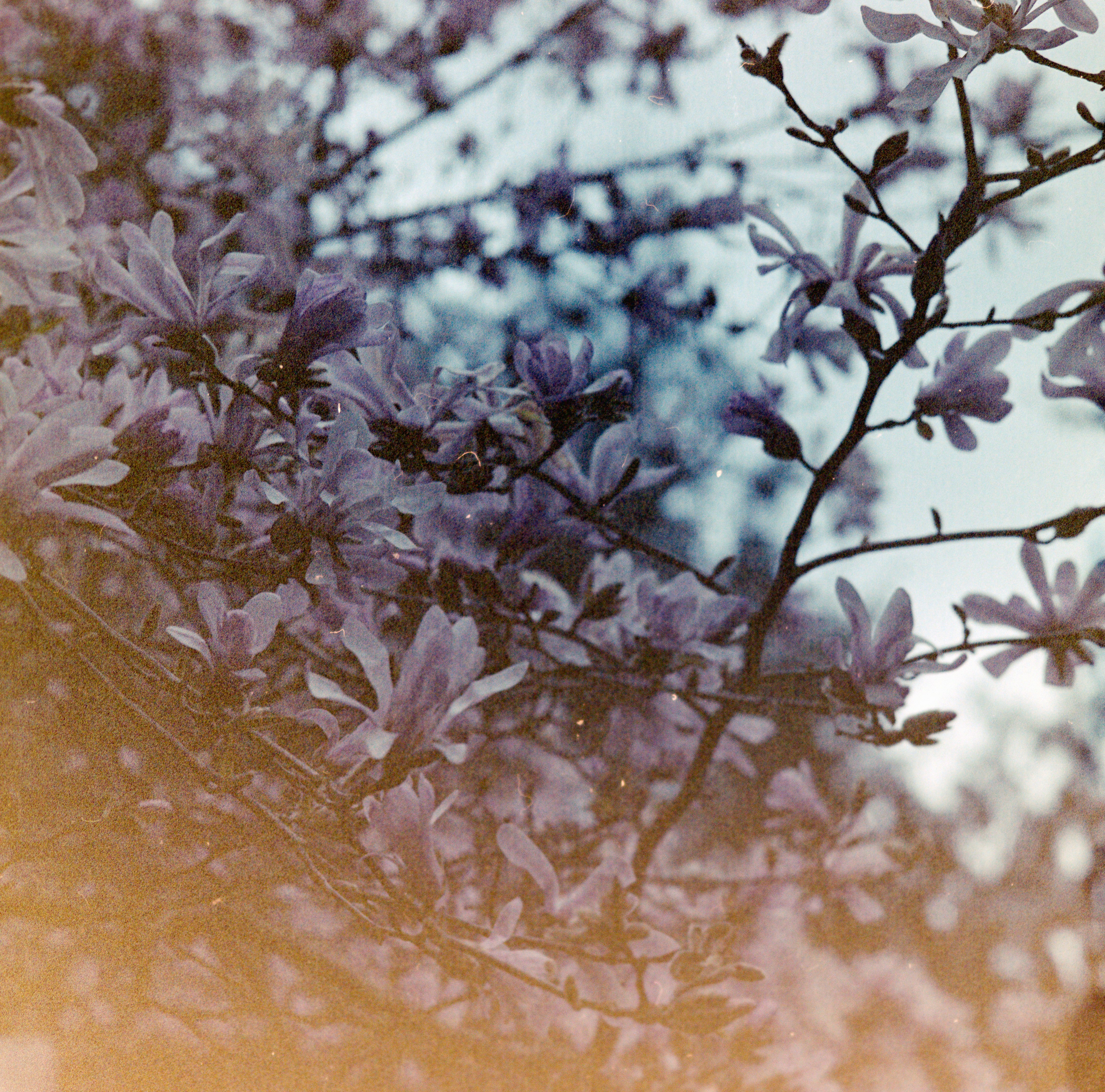 Photo by anniespratt