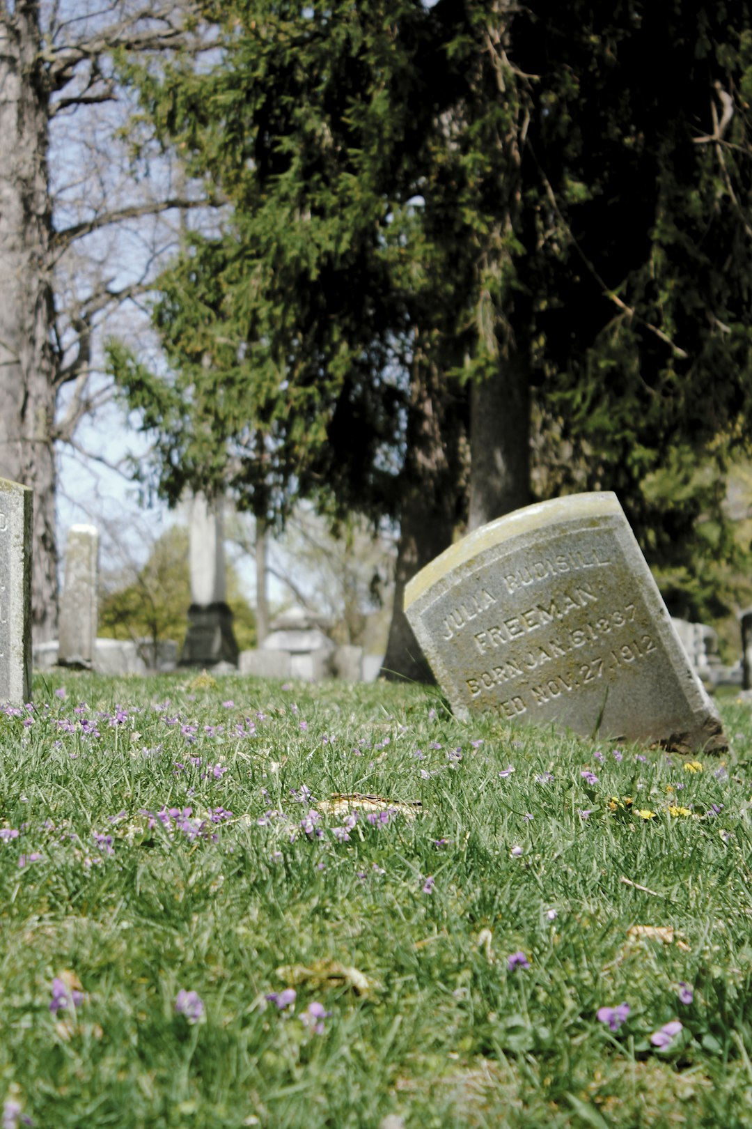 gray concrete tomb on green grass field during daytime