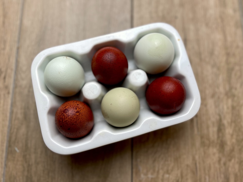 white egg on white ceramic tray