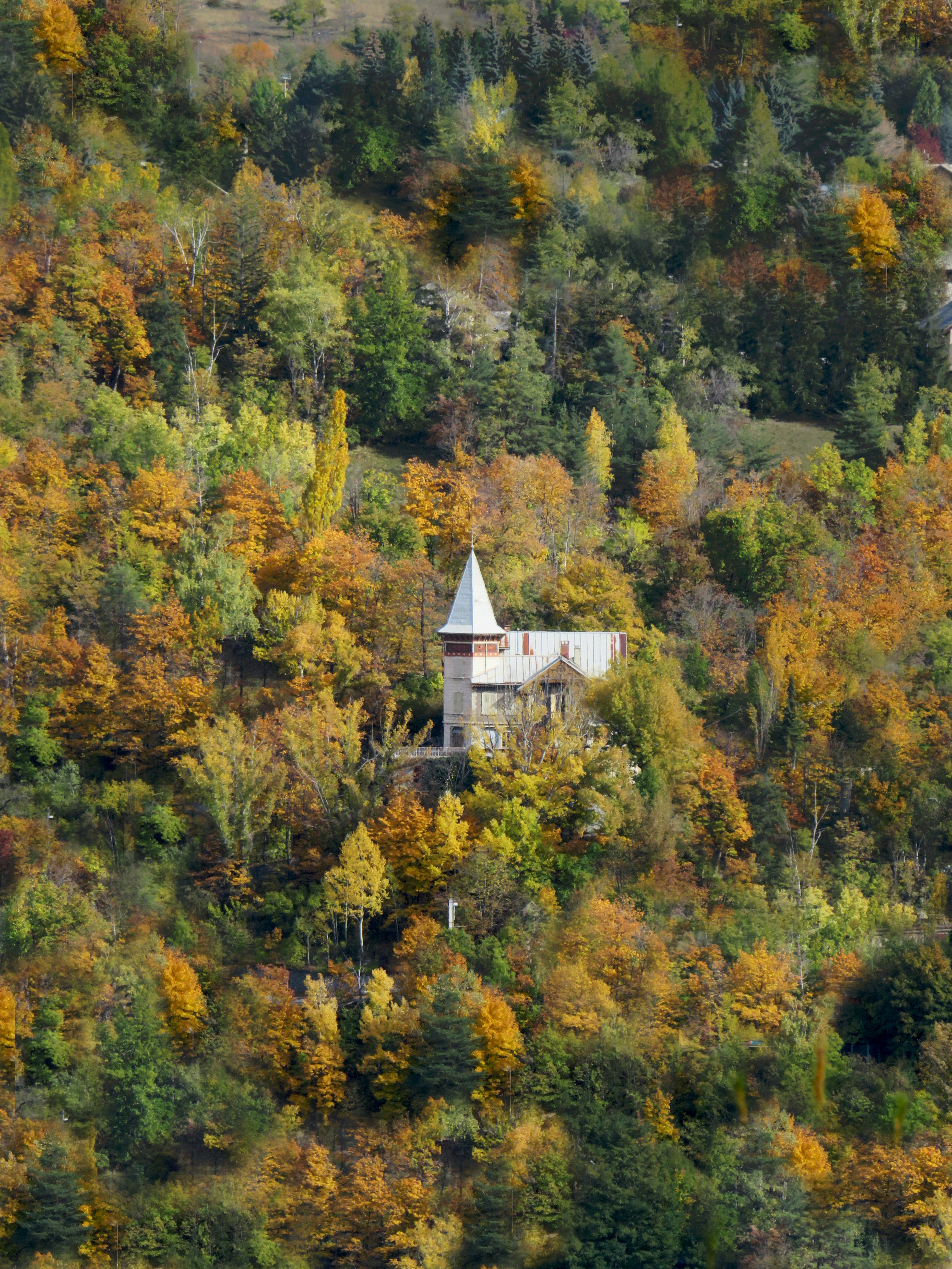 Photo by pitchou_cltd