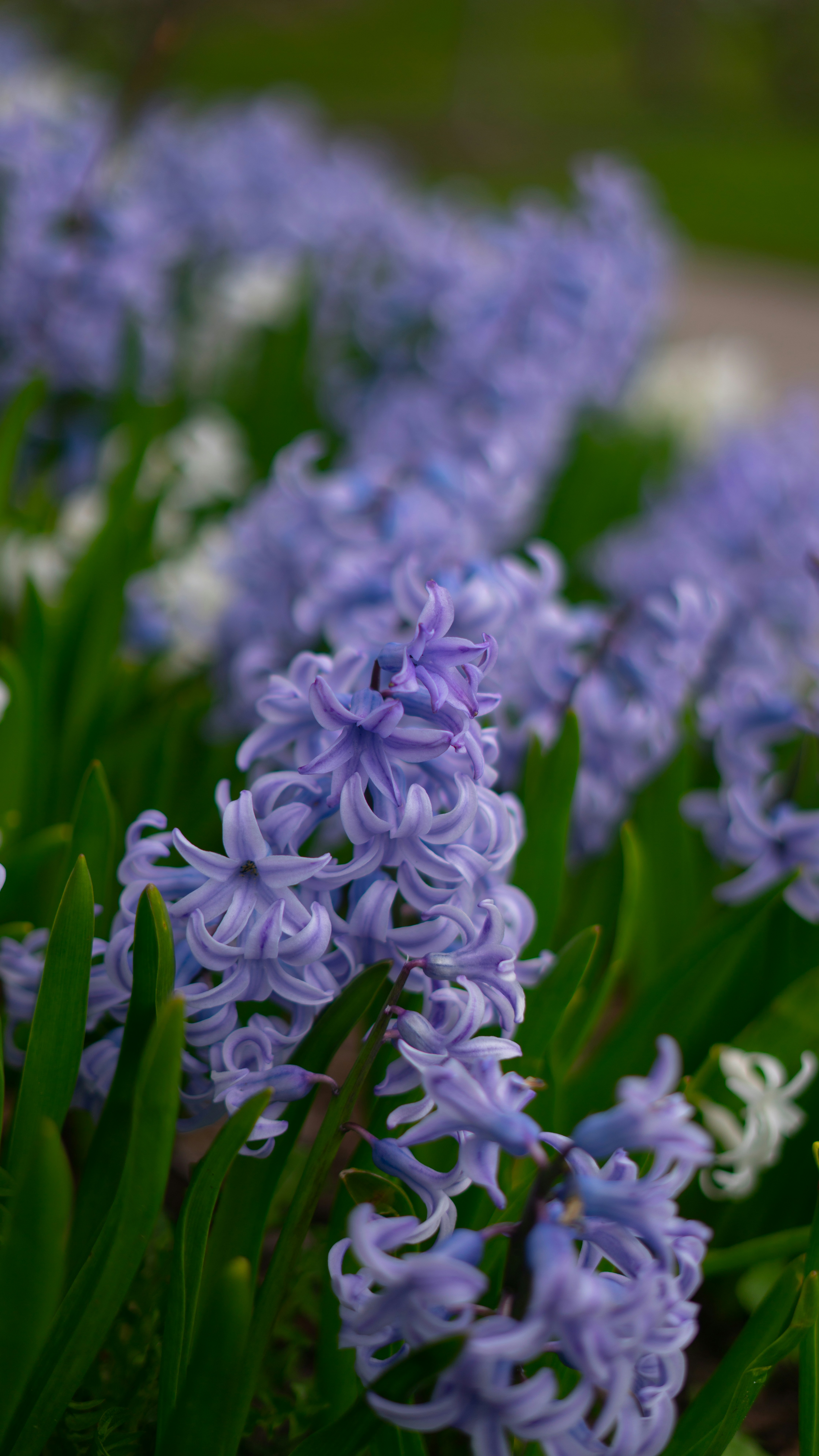 Photo by bensphotographyspot