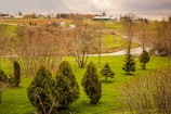Rolling farmland and plots under bright daylight.
