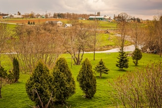 Rolling farmland with lush green pastures and scattered trees, a small stream meanders through the landscape, and various farm buildings can be seen in the distance under an overcast sky.