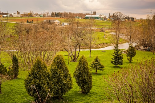 Rolling farmland and plots under bright daylight.