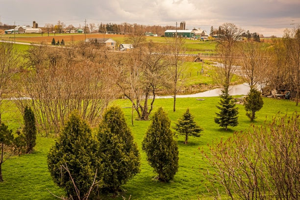 Rolling farmland with lush green pastures and scattered trees, a small stream meanders through the landscape, and various farm buildings can be seen in the distance under an overcast sky.