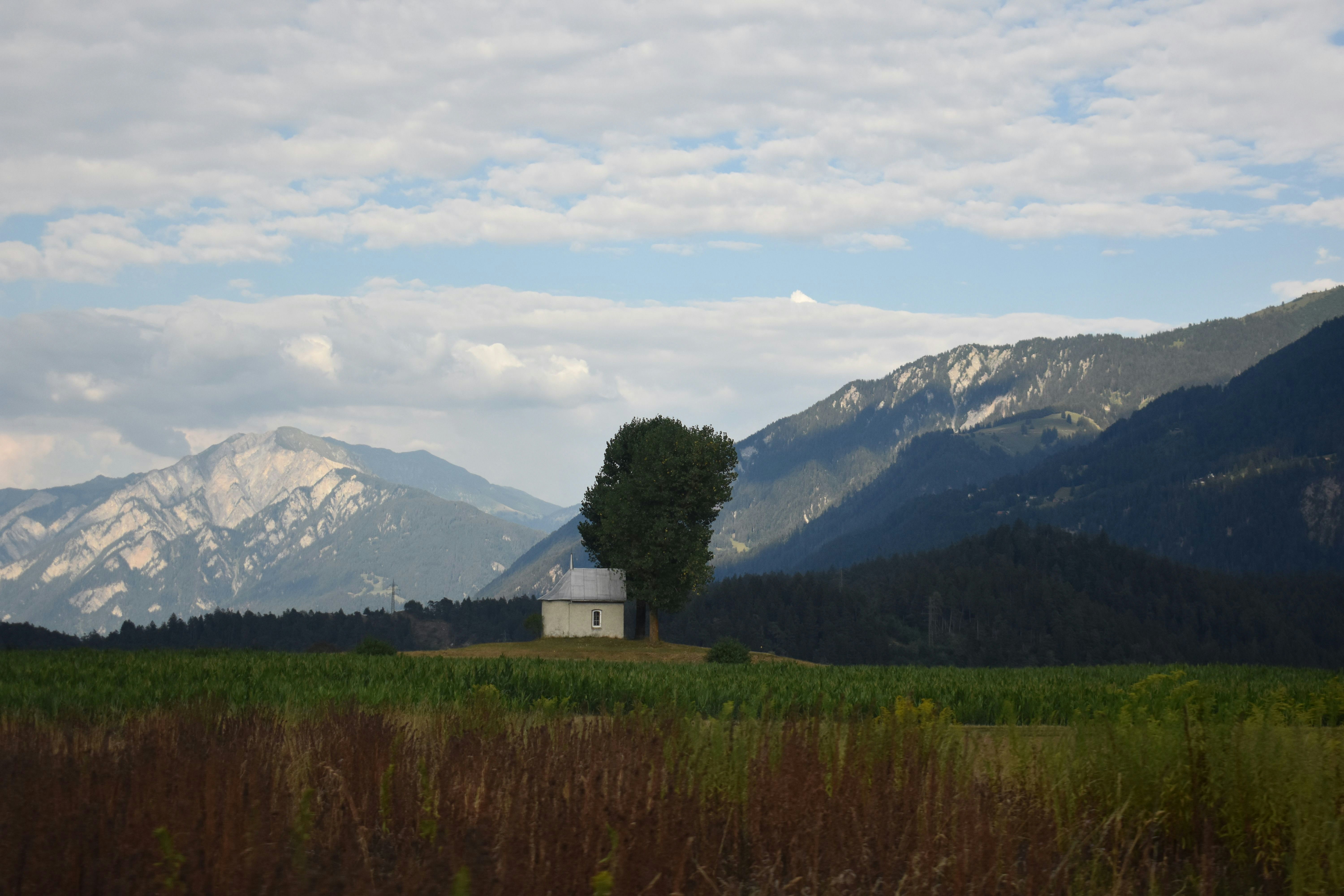 Photo by bigcityreview