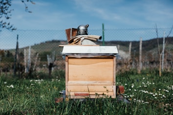 A wooden beehive sits in a grassy area surrounded by a wire fence. Various beekeeping tools, including a smoker, are placed on top of the beehive, while wildflowers dot the green grass. In the background, there are hills beneath a clear blue sky.