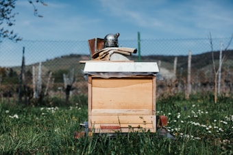 A wooden beehive sits in a grassy area surrounded by a wire fence. Various beekeeping tools, including a smoker, are placed on top of the beehive, while wildflowers dot the green grass. In the background, there are hills beneath a clear blue sky.