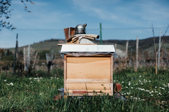 A wooden beehive sits in a grassy area surrounded by a wire fence. Various beekeeping tools, including a smoker, are placed on top of the beehive, while wildflowers dot the green grass. In the background, there are hills beneath a clear blue sky.