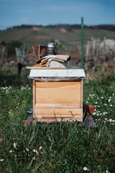 brown and white wooden chest box on green grass field during daytime