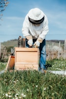 A person wearing protective beekeeping gear, including a white suit and gloves, is tending to a wooden beehive in a grassy field. Next to the hive, there is a metal smoker used in beekeeping. The background includes a clear blue sky and a fenced-off area with hills in the distance.