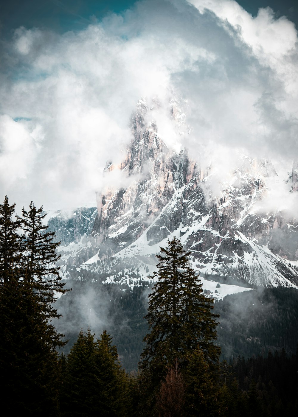 green trees near snow covered mountain during daytime