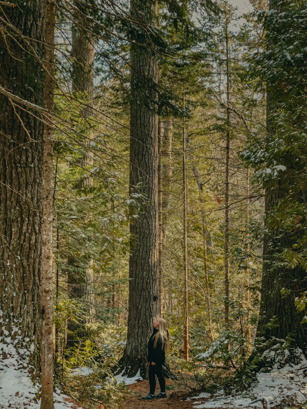 昼間の森に立つ黒いジャケットの女性