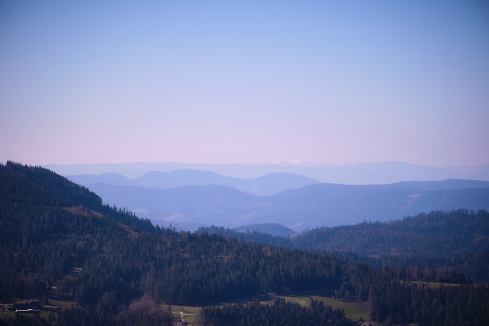 green trees on mountain during daytime