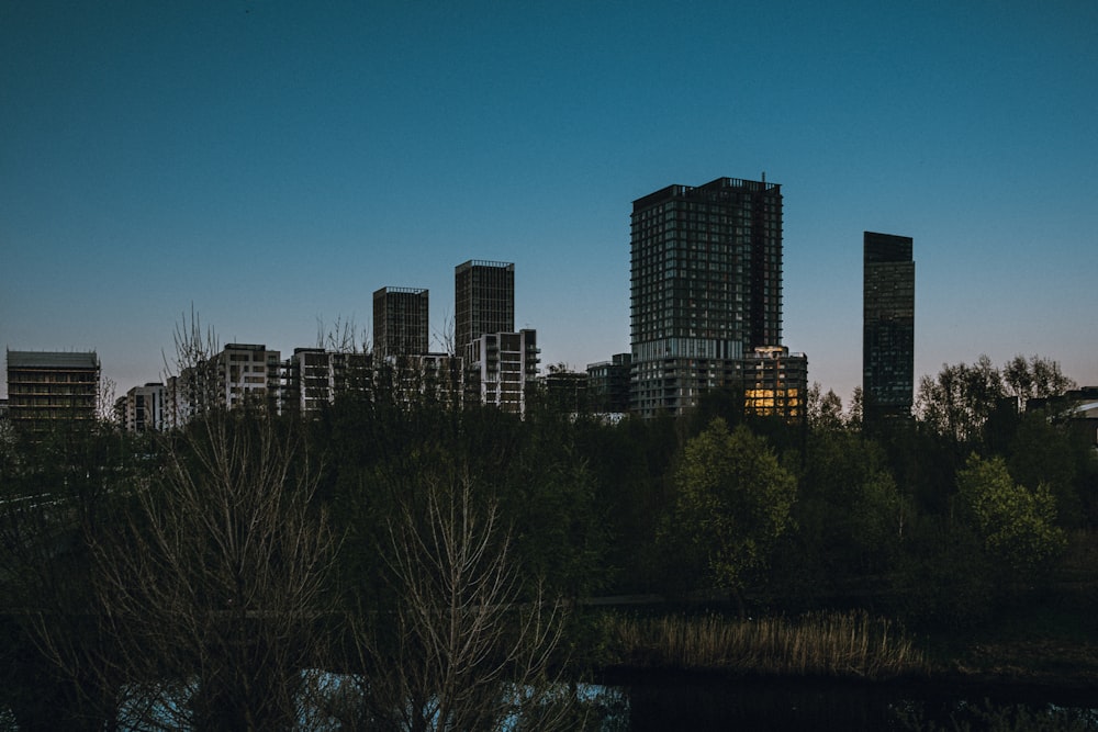 Skyline der Stadt tagsüber unter blauem Himmel