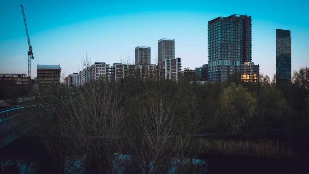 green trees near city buildings during daytime