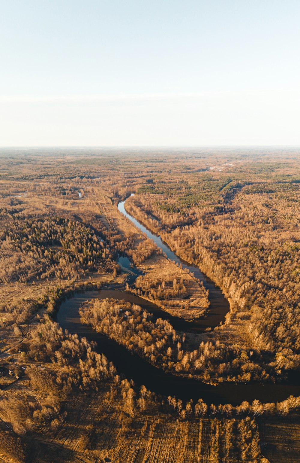 Veduta aerea del campo bruno durante il giorno