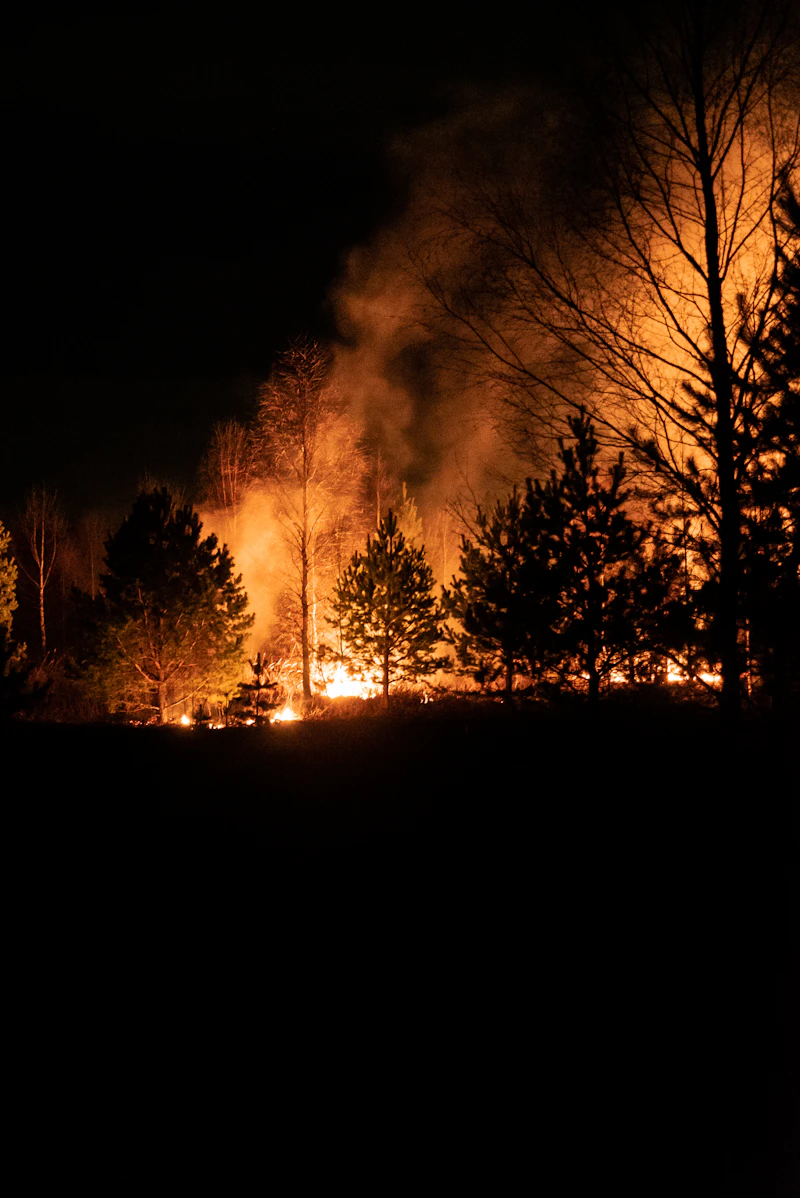 Wildfire and flood recon