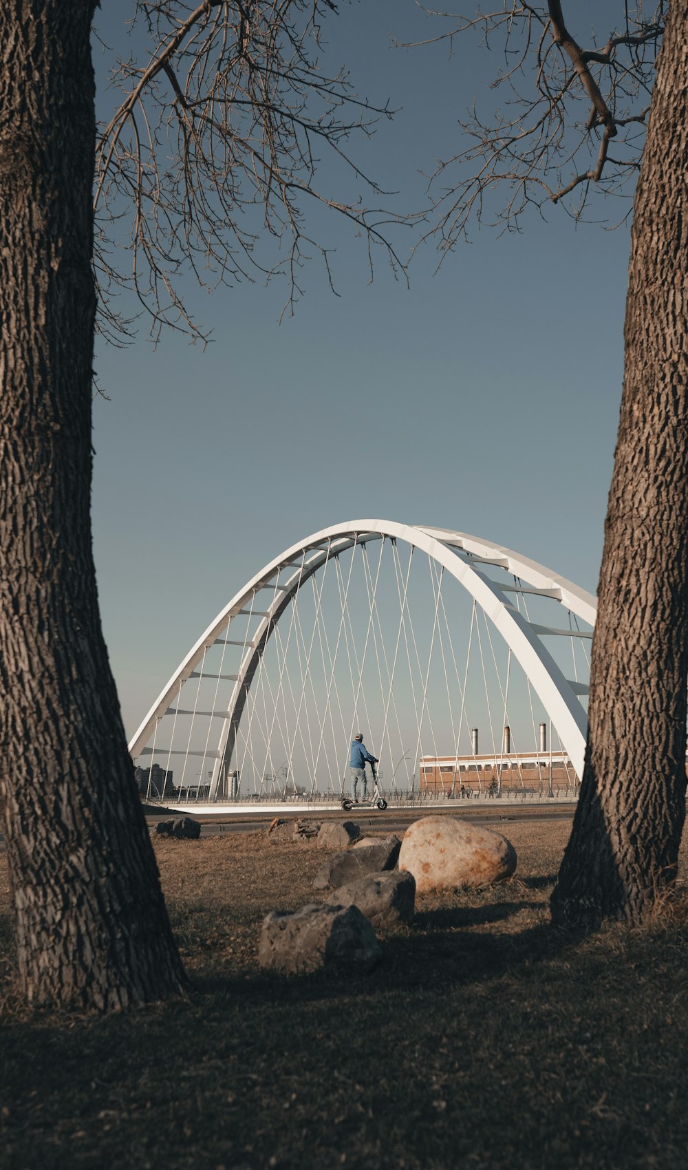 people sitting on brown wooden bench near white bridge during daytime