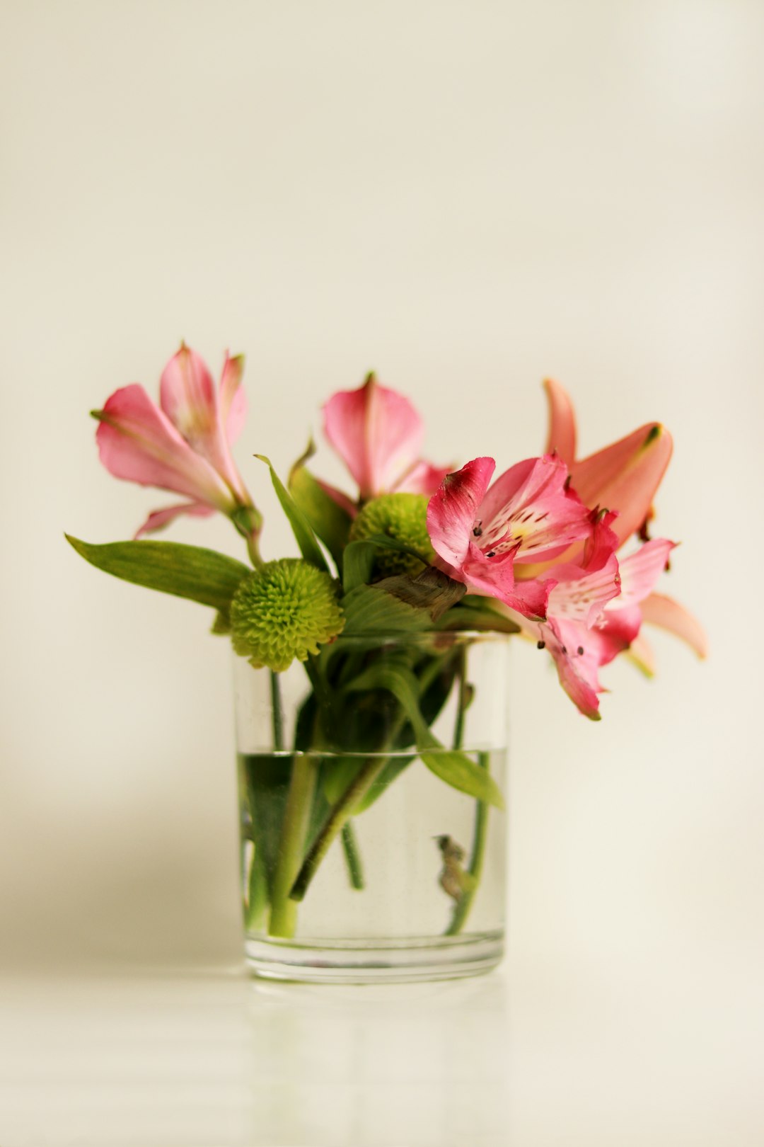 pink and white flowers in clear glass vase