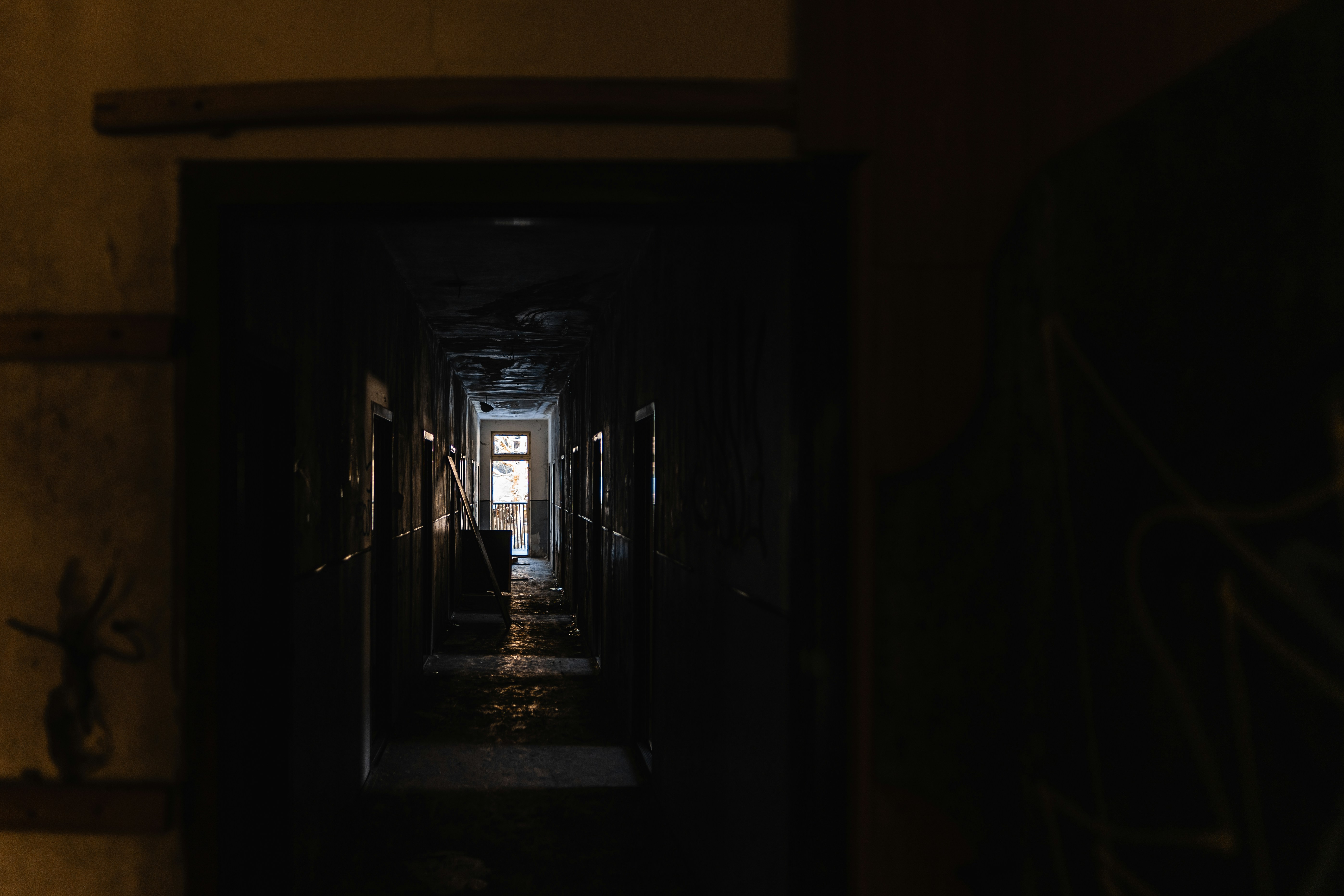 Photo by davidbenesph