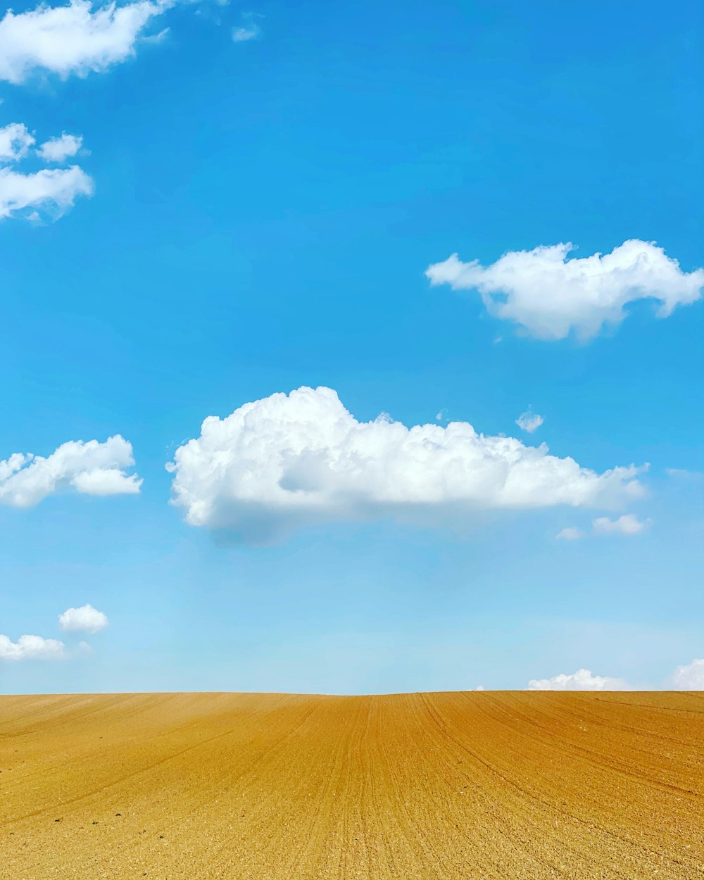 Campo marrón bajo nubes blancas y cielo azul durante el día
