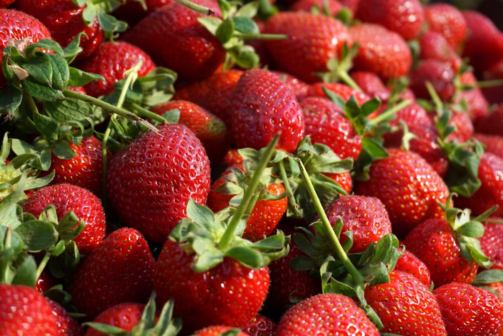 red strawberries on green leaves