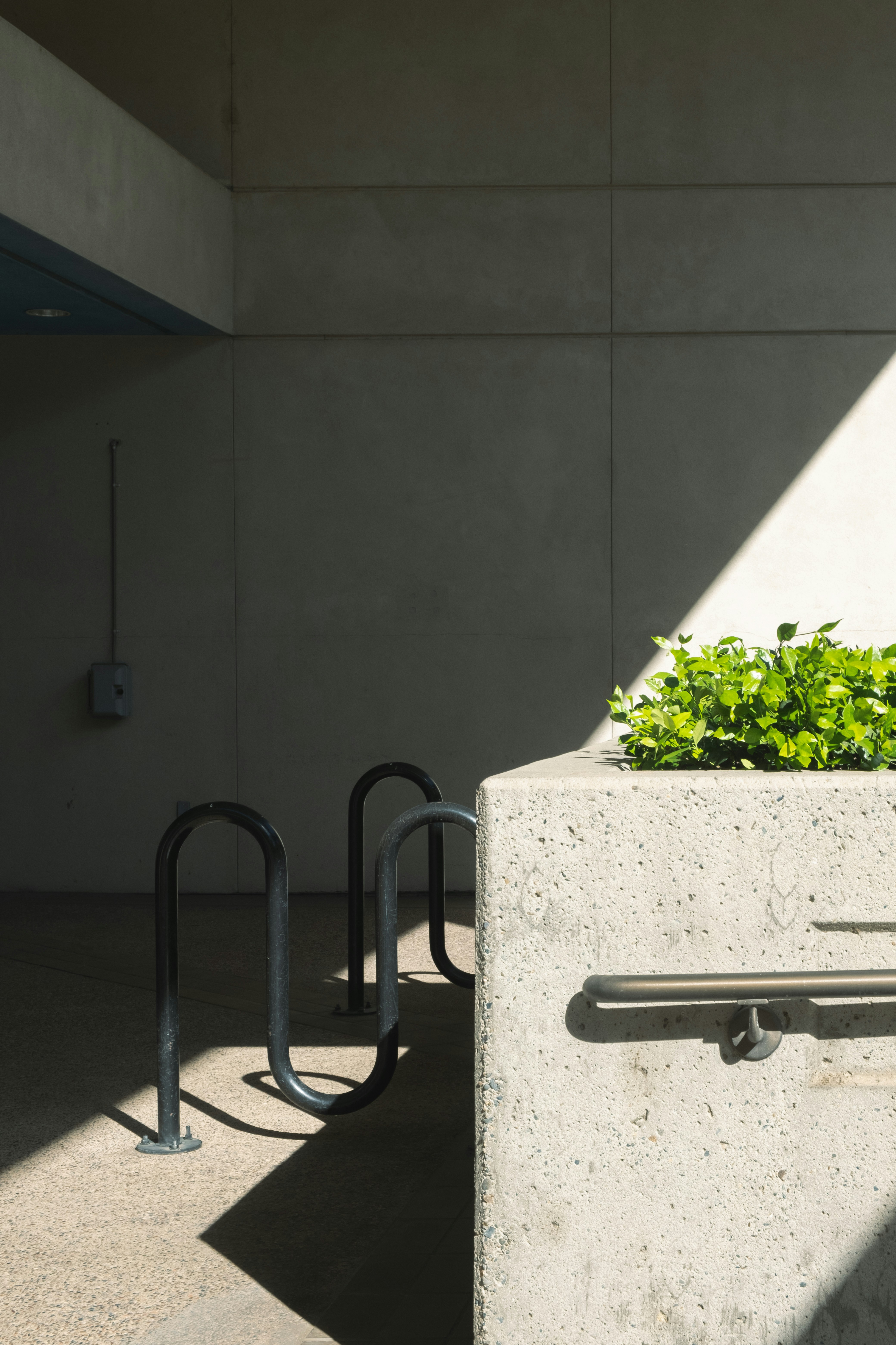 Photo by parsoakhorsand