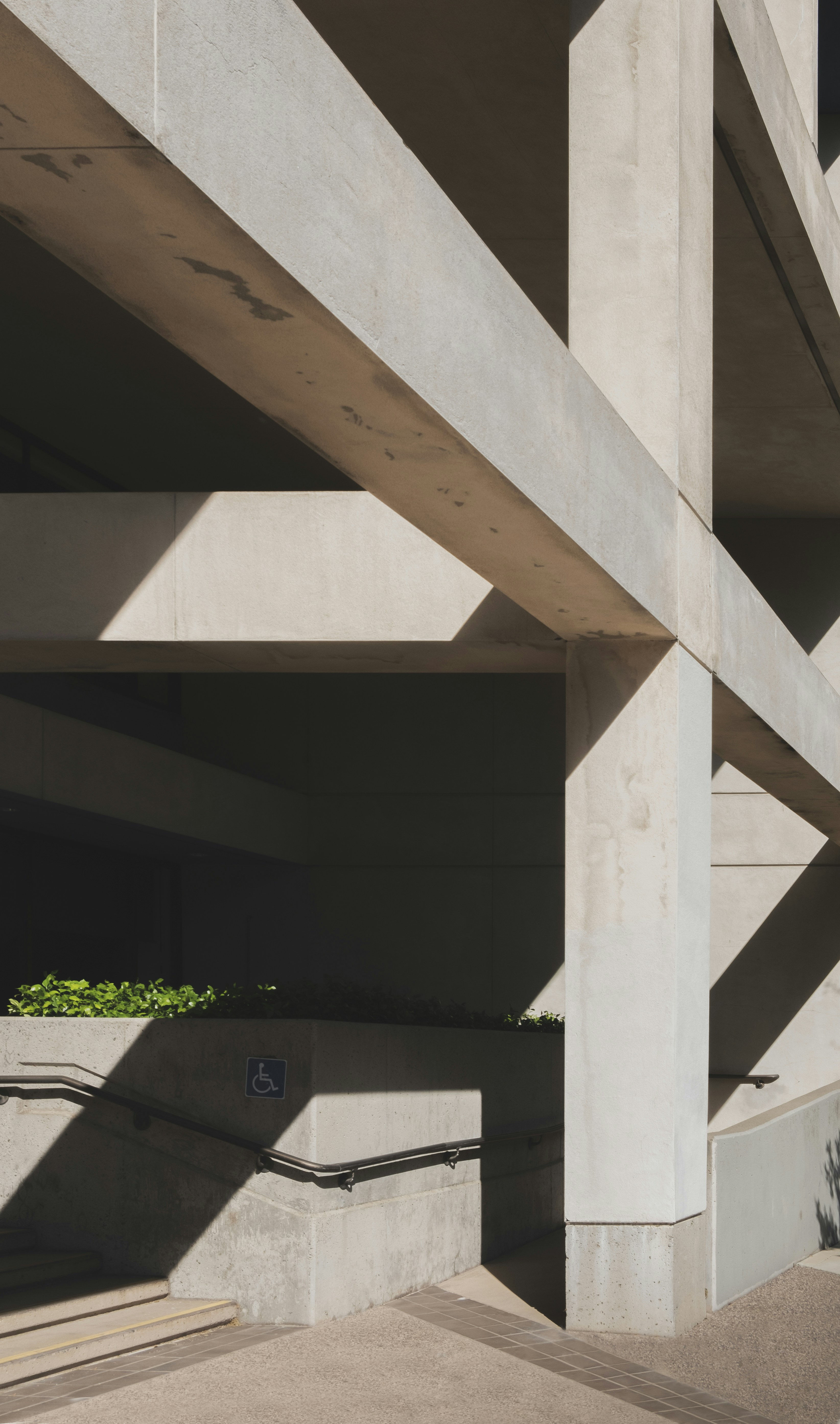 Photo by parsoakhorsand