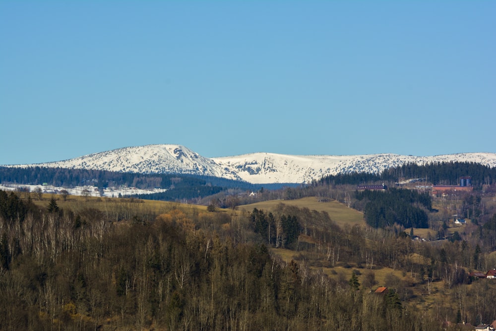 Schneebedeckter Berg tagsüber