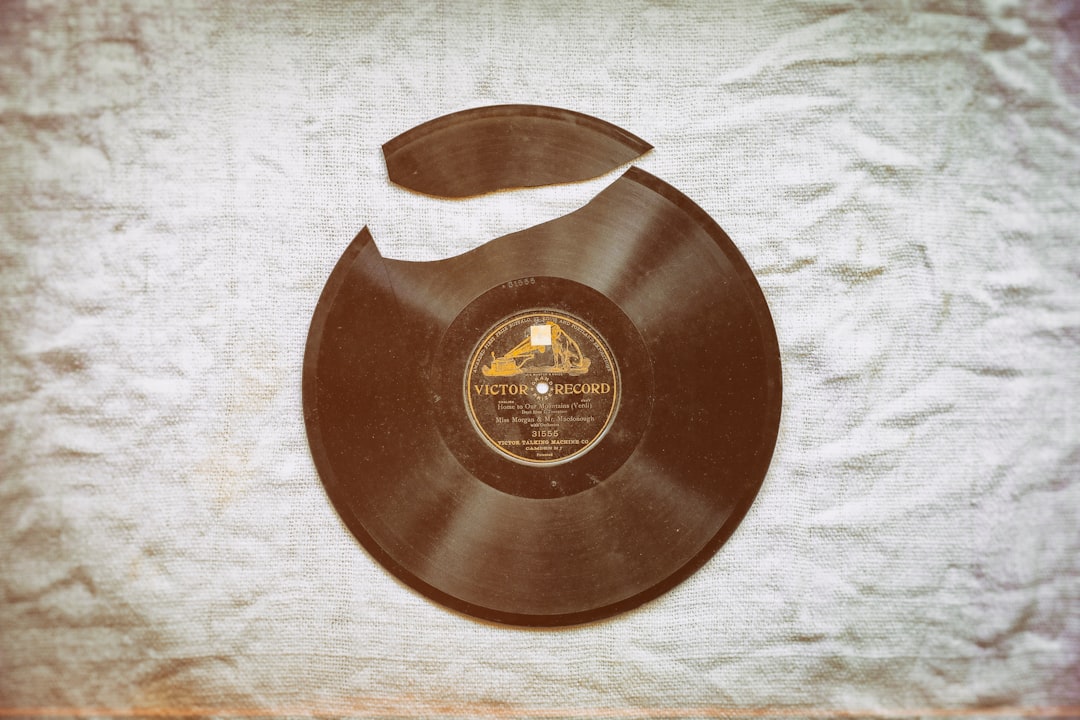 brown vinyl record on white textile