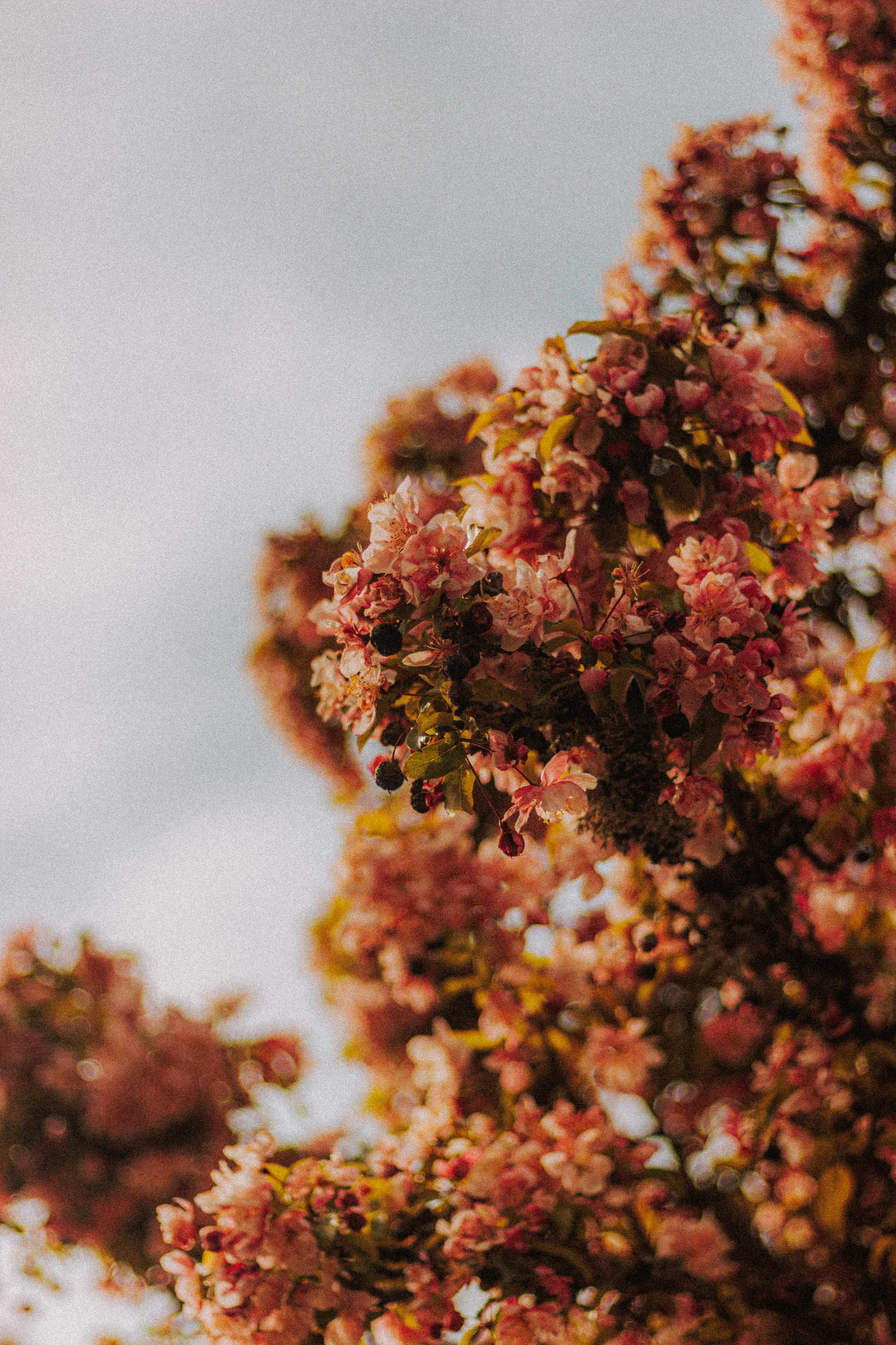 Photo by matreding